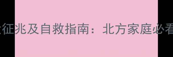 暖气冻坏循环泵的五大征兆及自救指南北方家庭必看的采暖设备防冻秘籍