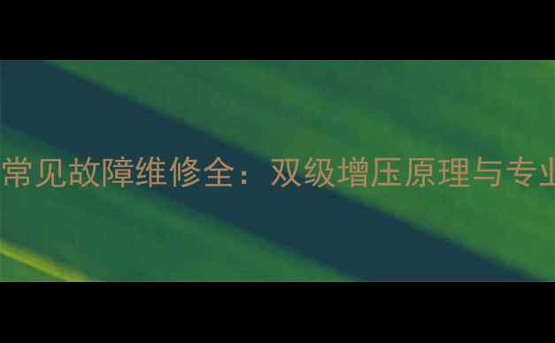 图片 暖气加压泵常见故障维修全：双级增压原理与专业检修指南2
