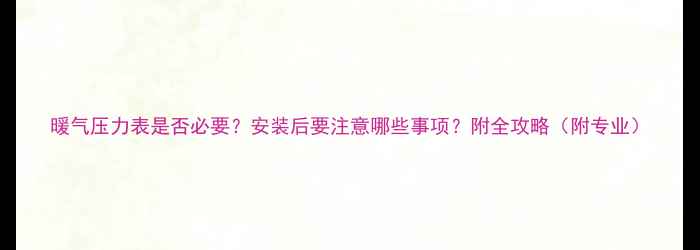 图片 暖气压力表是否必要？安装后要注意哪些事项？附全攻略（附专业）