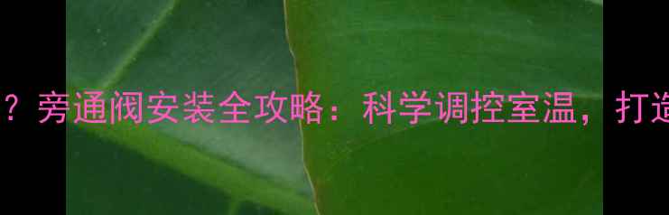 图片 暖气太热怎么办？旁通阀安装全攻略：科学调控室温，打造舒适采暖环境2