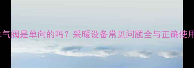 图片 暖气排气阀是单向的吗？采暖设备常见问题全与正确使用指南2