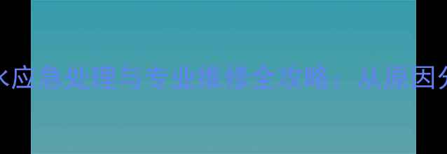 暖气排气阀漏水应急处理与专业维修全攻略从原因分析到省钱技巧