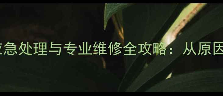 图片 暖气排气阀漏水应急处理与专业维修全攻略：从原因分析到省钱技巧2
