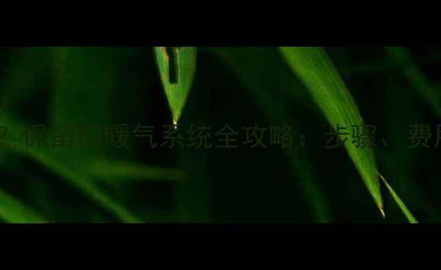 图片 暖气改造不换新？保留旧暖气系统全攻略：步骤、费用与优缺点对比1