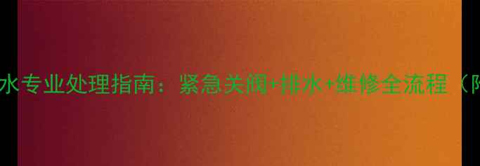 图片 暖气放气口漏水专业处理指南：紧急关阀+排水+维修全流程（附视频教程）1