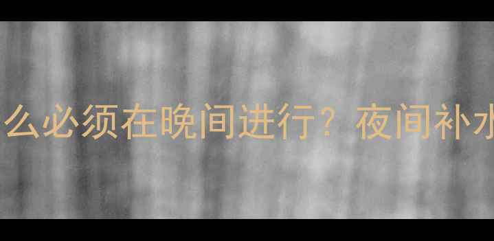 图片 暖气注水操作全：为什么必须在晚间进行？夜间补水技巧与常见问题指南1