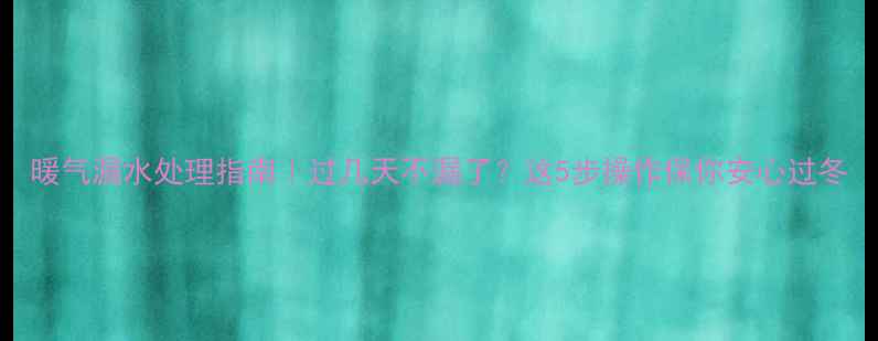 图片 暖气漏水处理指南｜过几天不漏了？这5步操作保你安心过冬