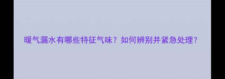 图片 暖气漏水有哪些特征气味？如何辨别并紧急处理？