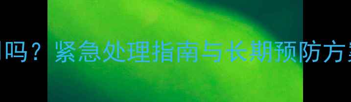 图片 暖气炉子没水能用吗？紧急处理指南与长期预防方案（附操作步骤）