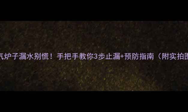图片 暖气炉子漏水别慌！手把手教你3步止漏+预防指南（附实拍图）