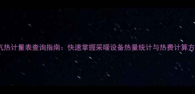 图片 暖气热计量表查询指南：快速掌握采暖设备热量统计与热费计算方法2