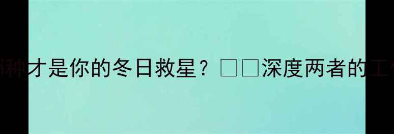 图片 暖气片VS油汀：哪种才是你的冬日救星？🔥🔥深度两者的工作原理+选购攻略1