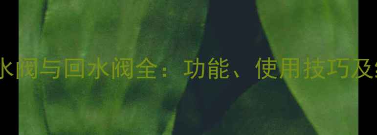暖气片上水阀与回水阀全功能使用技巧及维护指南