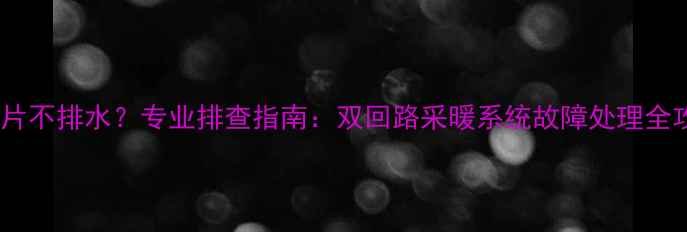 图片 暖气片不排水？专业排查指南：双回路采暖系统故障处理全攻略2
