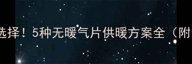 暖气片不是唯一选择5种无暖气片供暖方案全附最新安装指南