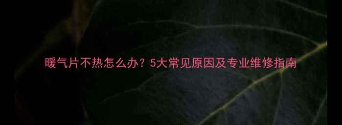 图片 暖气片不热怎么办？5大常见原因及专业维修指南