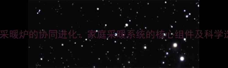 图片 暖气片与采暖炉的协同进化：家庭采暖系统的核心组件及科学选型指南1