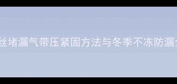 图片 暖气片丝堵漏气带压紧固方法与冬季不冻防漏全指南1