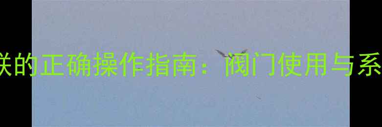 暖气片串联的正确操作指南阀门使用与系统维护全