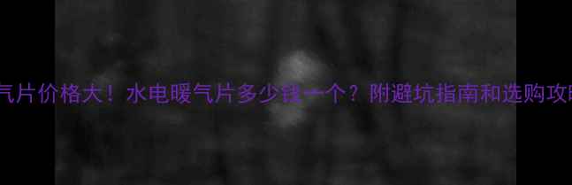 暖气片价格大水电暖气片多少钱一个附避坑指南和选购攻略