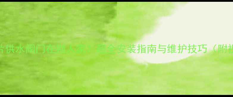 图片 暖气片供水阀门在别人家？超全安装指南与维护技巧（附视频）