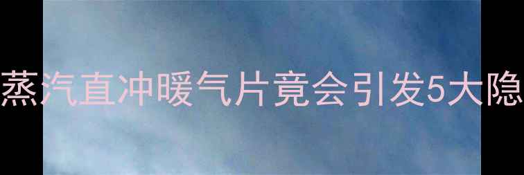暖气片保养必看蒸汽直冲暖气片竟会引发5大隐患附自检指南