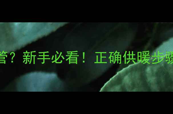 图片 暖气片先开进水管？新手必看！正确供暖步骤+常见问题全🔥2