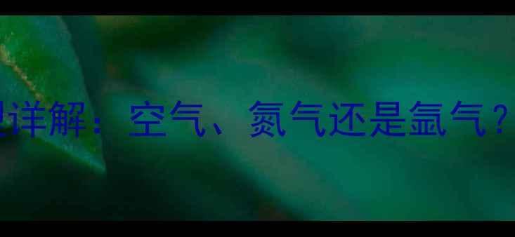 暖气片内部气体类型详解空气氮气还是氩气如何选择与维护
