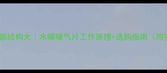 图片 暖气片内部结构大｜水暖暖气片工作原理+选购指南（附实拍图）1