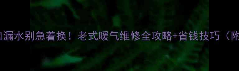 暖气片出气口漏水别急着换老式暖气维修全攻略省钱技巧附排查步骤