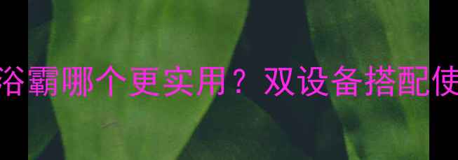 暖气片和浴霸哪个更实用双设备搭配使用全攻略