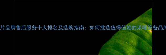 暖气片品牌售后服务十大排名及选购指南如何挑选值得信赖的采暖设备品牌