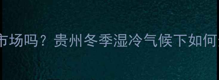 图片 暖气片在贵州有市场吗？贵州冬季湿冷气候下如何选对采暖设备？2