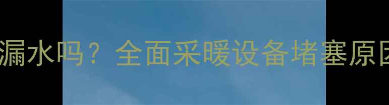 图片 暖气片堵塞会漏水吗？全面采暖设备堵塞原因与处理方法2