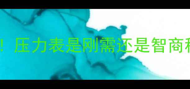 图片 暖气片安装必看！压力表是刚需还是智商税？全+避坑指南