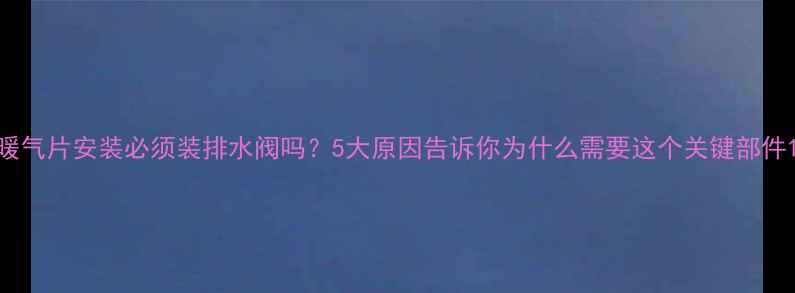 暖气片安装必须装排水阀吗5大原因告诉你为什么需要这个关键部件