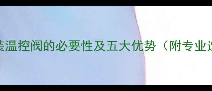 暖气片安装温控阀的必要性及五大优势附专业选购指南