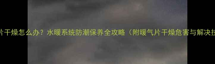 图片 暖气片干燥怎么办？水暖系统防潮保养全攻略（附暖气片干燥危害与解决技巧）