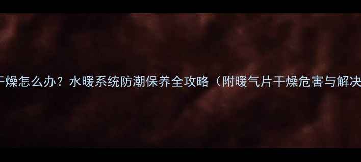 暖气片干燥怎么办水暖系统防潮保养全攻略附暖气片干燥危害与解决技巧