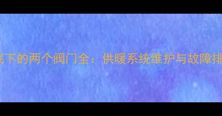 暖气片底下的两个阀门全供暖系统维护与故障排除指南