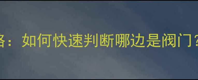 暖气片开关识别全攻略如何快速判断哪边是阀门常见误区与维护技巧