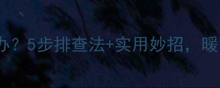 图片 暖气片异响怎么办？5步排查法+实用妙招，暖冬无忧！❄️🔥2