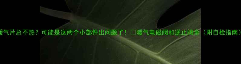 图片 暖气片总不热？可能是这两个小部件出问题了！🔥暖气电磁阀和逆止阀全（附自检指南）