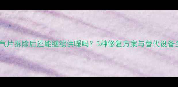 图片 暖气片拆除后还能继续供暖吗？5种修复方案与替代设备全2
