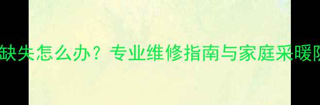 暖气片挡片缺失怎么办专业维修指南与家庭采暖防护措施全