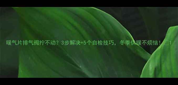 图片 暖气片排气阀拧不动？3步解决+5个自检技巧，冬季供暖不烦恼！🔥1