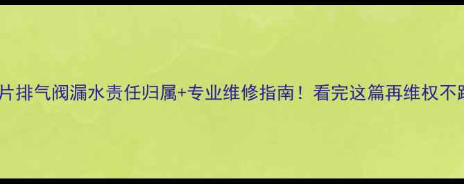 暖气片排气阀漏水责任归属专业维修指南看完这篇再维权不踩坑