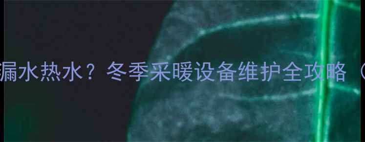 图片 暖气片排水口漏水热水？冬季采暖设备维护全攻略（附自检步骤）