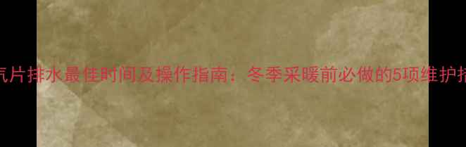图片 暖气片排水最佳时间及操作指南：冬季采暖前必做的5项维护措施