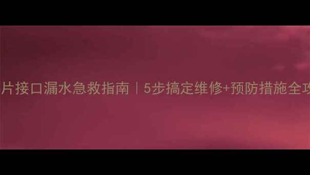 图片 暖气片接口漏水急救指南｜5步搞定维修+预防措施全攻略1